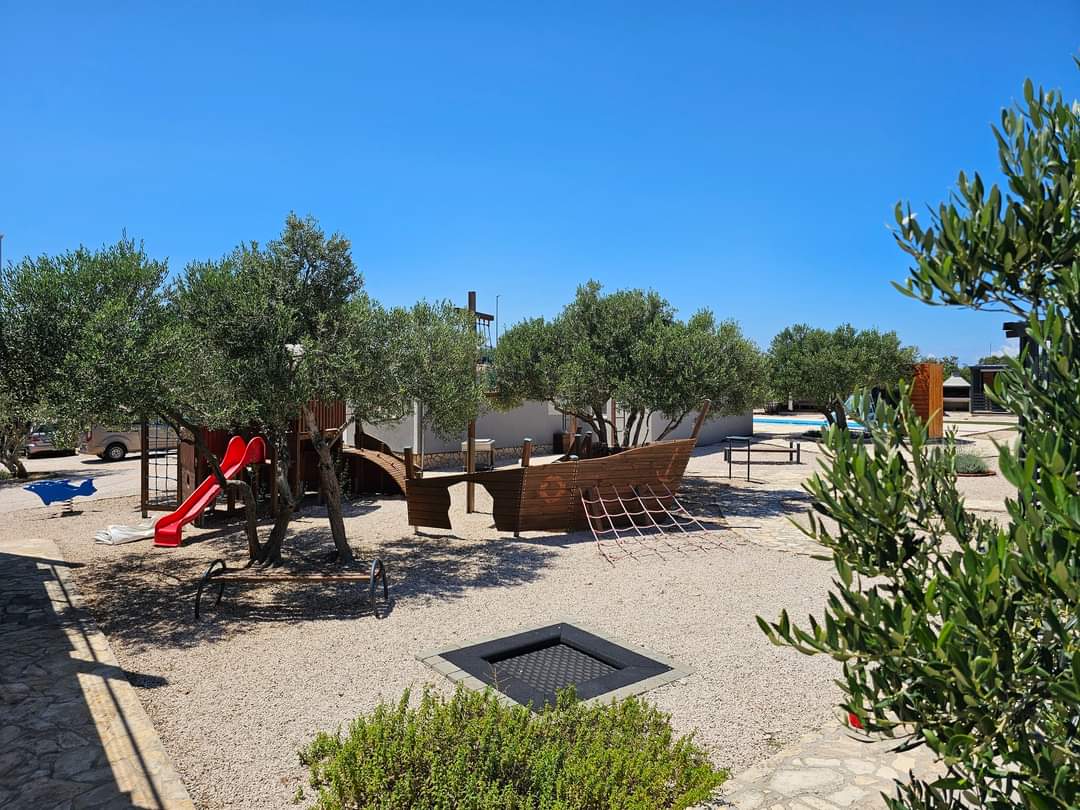 Shared outdoor area with olive trees and children's playground